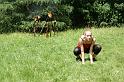 DSC03682