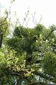DSC03717