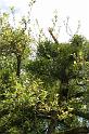 DSC03718