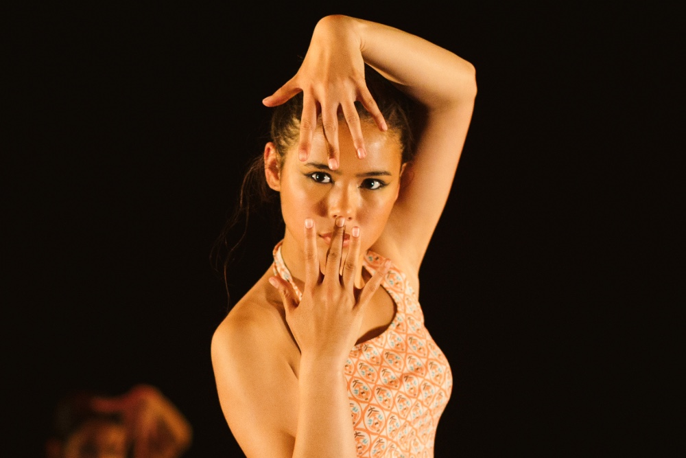 vakanties-danshuis-haarlem